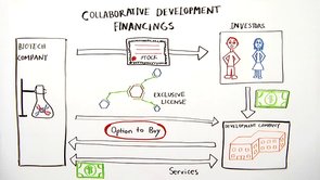 Collaborative Development Financings*